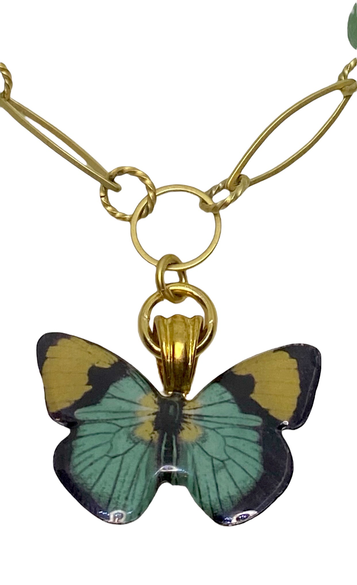 Butterflies