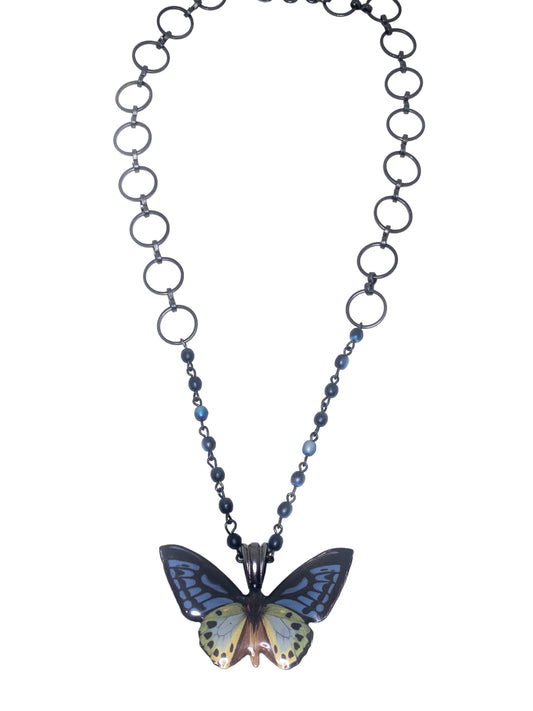 Ombre Radiance Butterfly Necklace